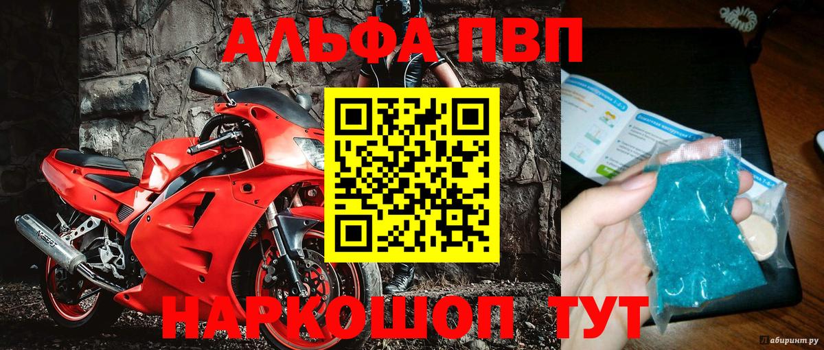A PVP СК Вышний Волочёк
