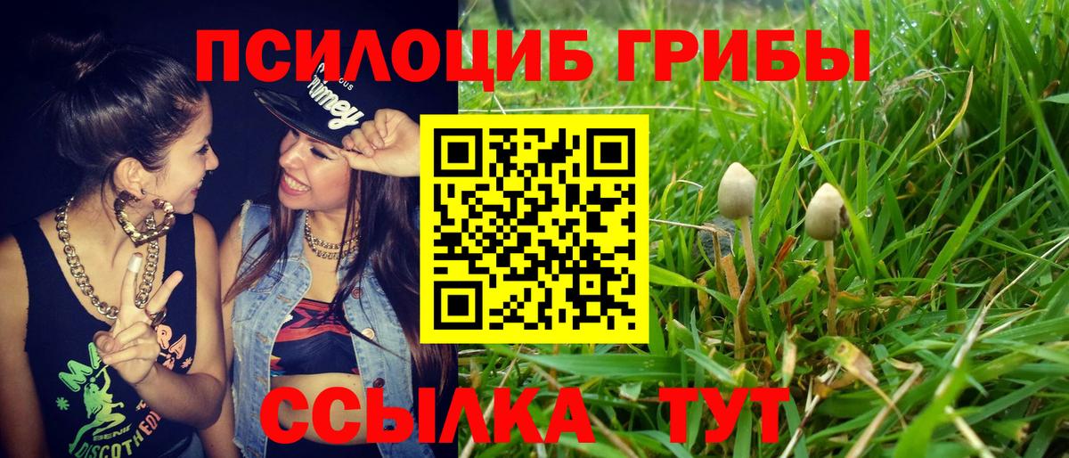 Галлюциногенные грибы мицелий  Вход с VPN  Вышний Волочёк 