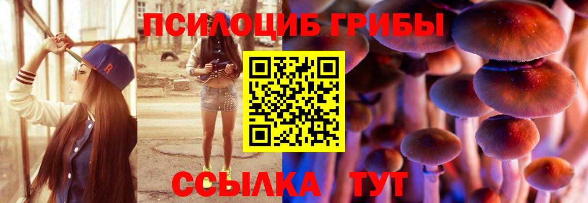 Галлюциногенные грибы мухоморы Вышний Волочёк